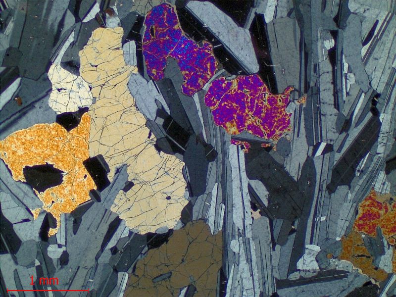  Microscope Gabbro Gabbro isotrope du Complexe intrusif de Rum Province magmatique des Hébrides Rùm  
